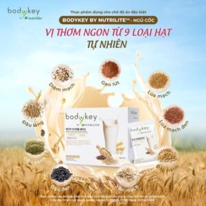 Thành Phần Của Bodykey Vị Trà Sữa Amway