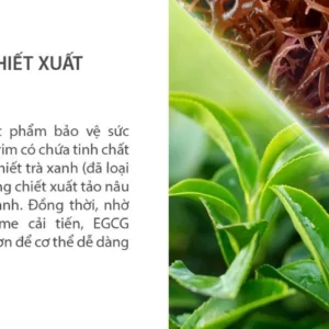 Công Dụng Của GreenTrim Amway