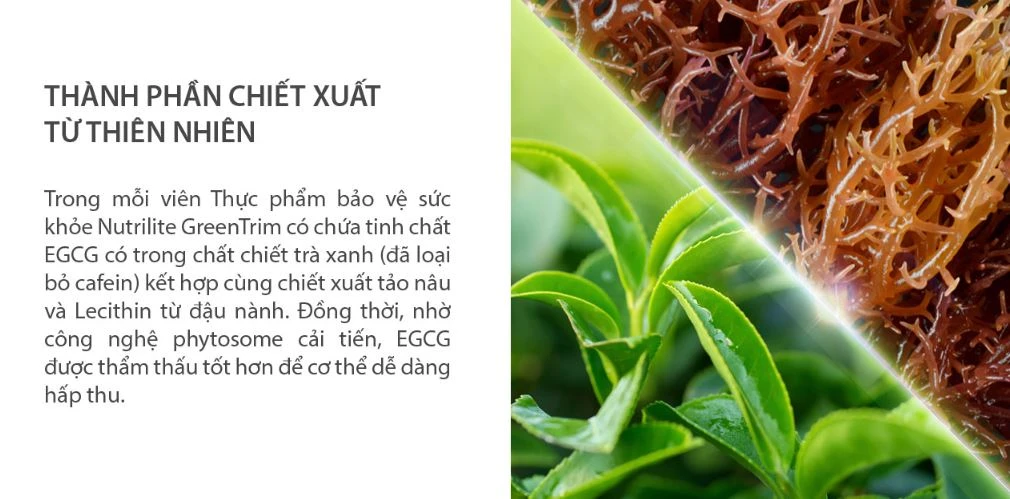 Công Dụng Của GreenTrim Amway