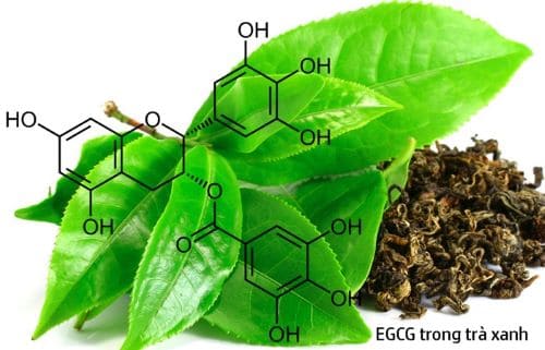 GreenTrim Amway Có Tốt Không?