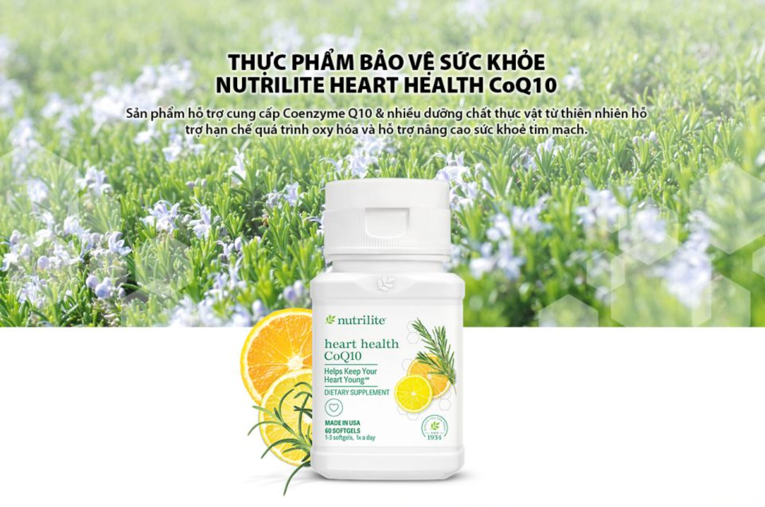 Heart Health CoQ10 Amway Có Tốt Không?