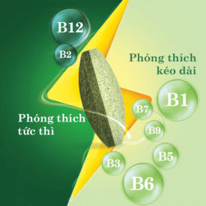 Thành Phần Của Vitamin B Dual-Action Amway